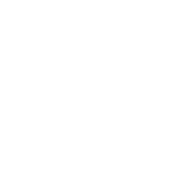 Android logo