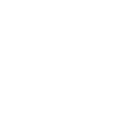 Web logo