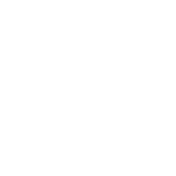 Windows logo